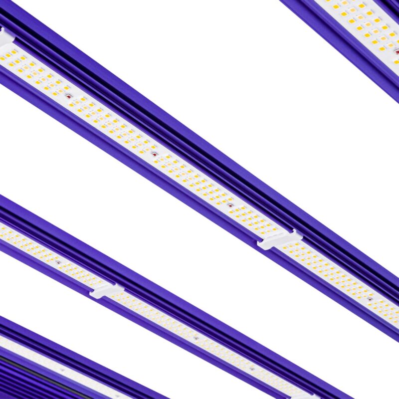 Lumatek ZEUS 1000W Pro EVO 3.1 LED