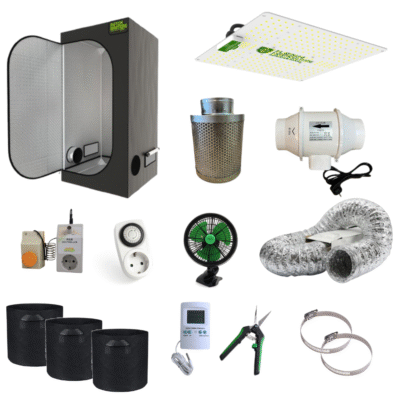 Cannabis Anbau Anleitung für Anfänger – Schritt für Schritt zum ersten Grow