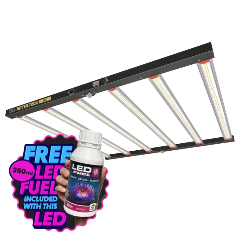 LED-Lampe mit kostenloser Nährlösung