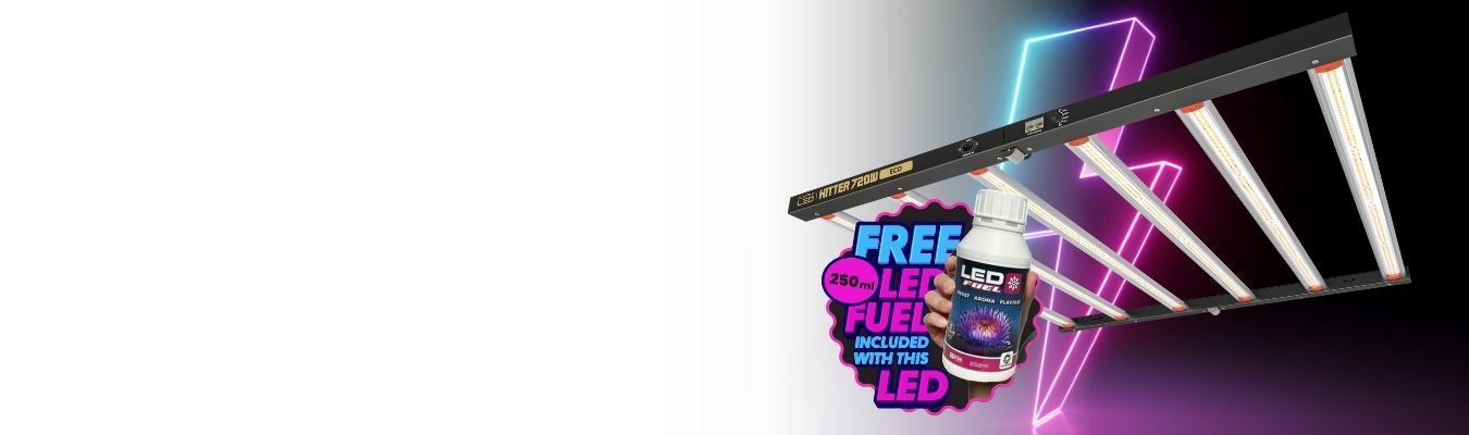 LED-Leuchten mit kostenlosem Treibstoff