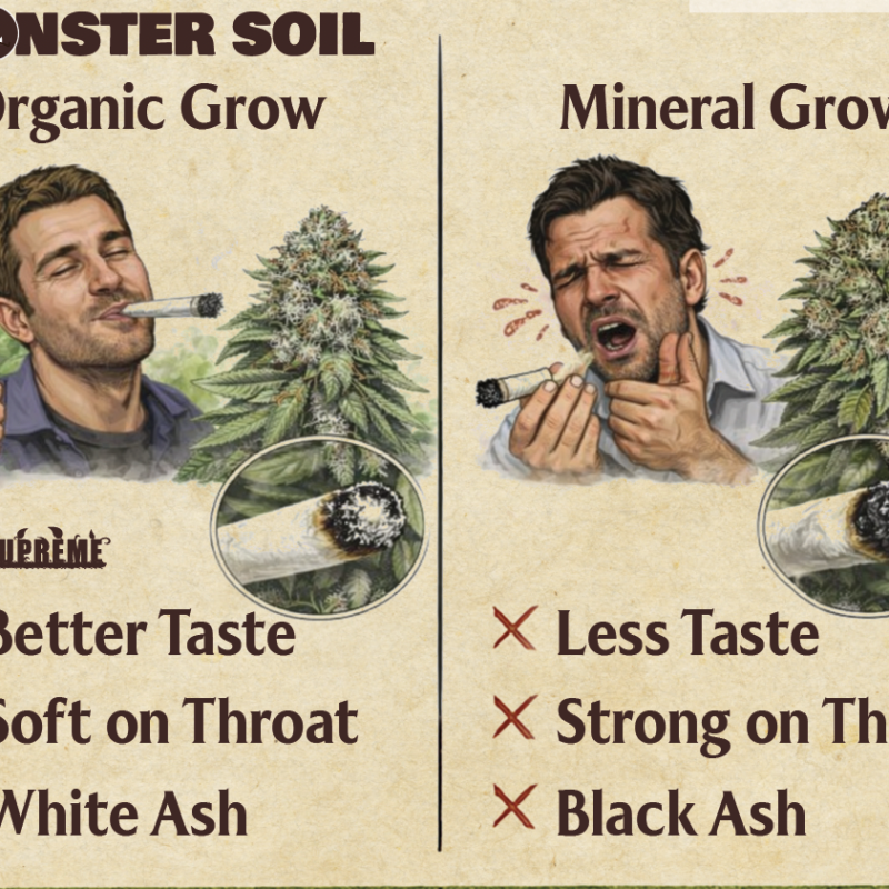 Monster Soil Homegrow Pot | 11L