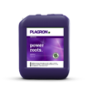 Plagron Power Roots 10L