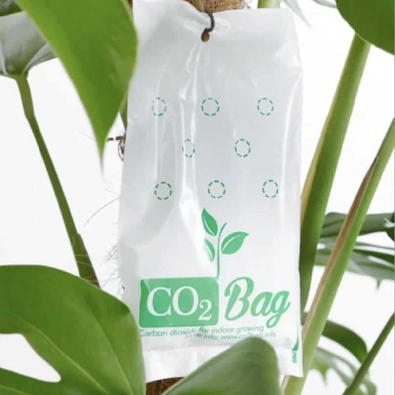 Alternative view of Co2Bag Xl  - Natürliche CO2-Anreicherung