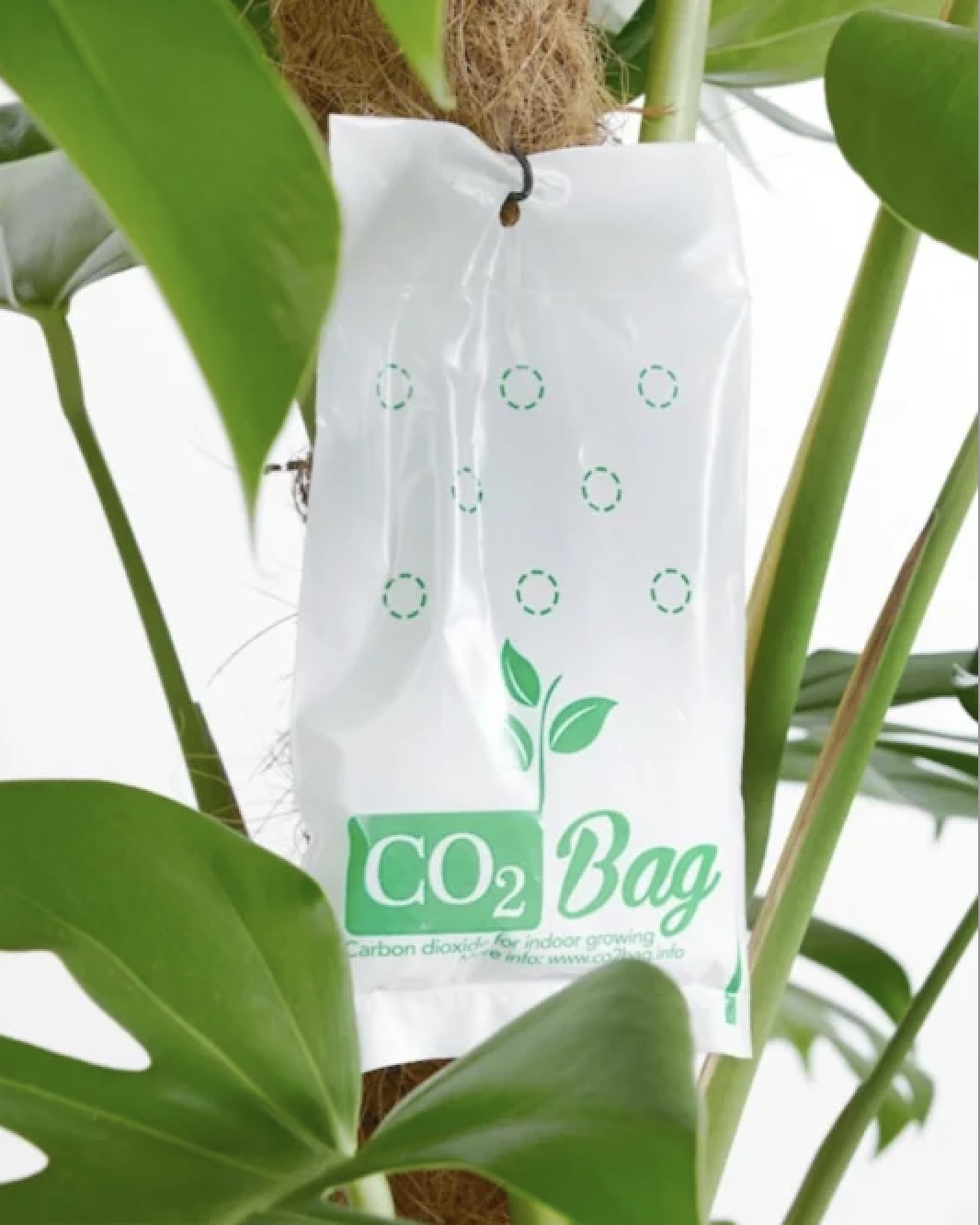 Co2Bag Xl - Natürliche CO2-Anreicherung 4 Co2Bag Xl - Natürliche CO2-Anreicherung – Bild 2